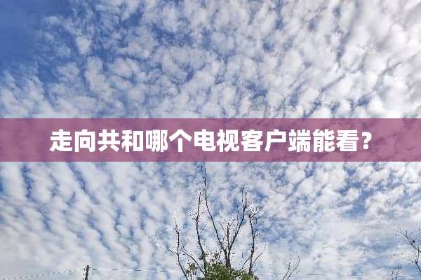 走向共和哪个电视客户端能看？