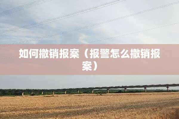 如何撤销报案（报警怎么撤销报案）