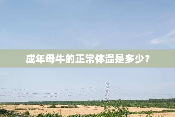成年母牛的正常体温是多少？