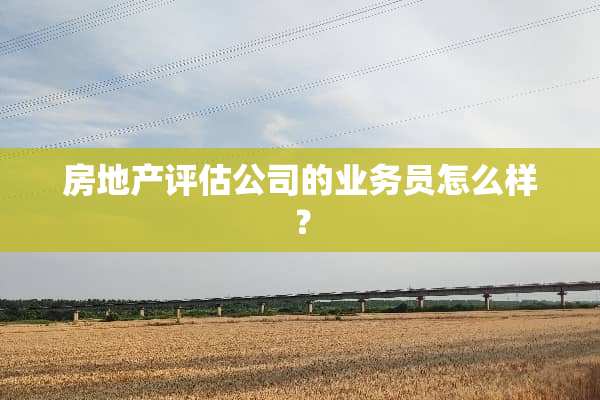 房地产评估公司的业务员怎么样？