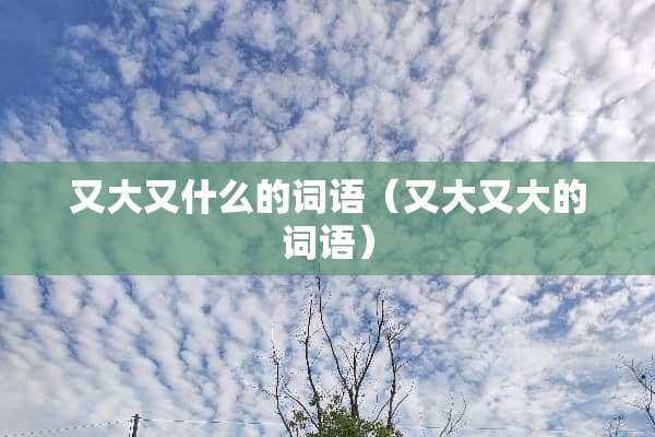 又大又什么的词语（又大又大的词语）