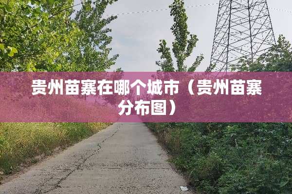 贵州苗寨在哪个城市（贵州苗寨分布图）