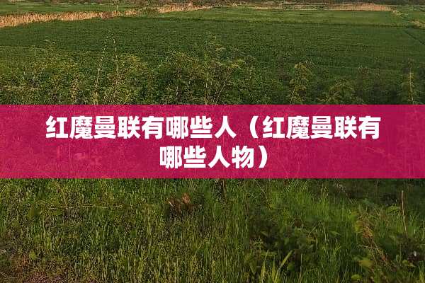 红魔曼联有哪些人（红魔曼联有哪些人物）