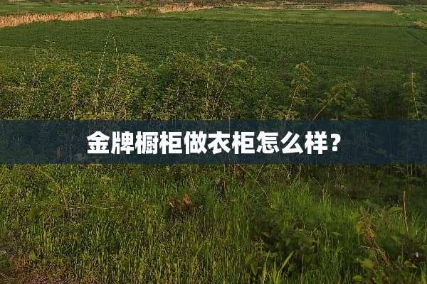 金牌橱柜做衣柜怎么样？