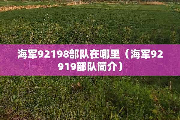 海军92198**在哪里（海军92919**简介）