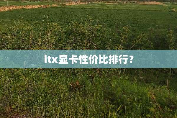 itx显卡性价比排行？