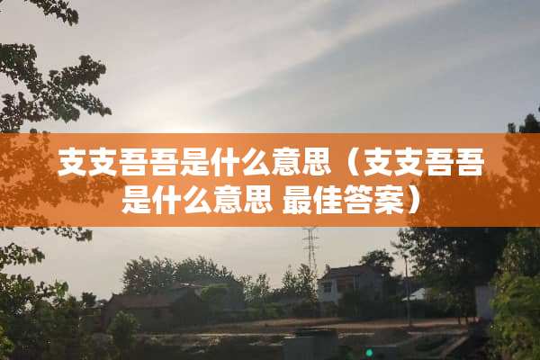 支支吾吾是什么意思（支支吾吾是什么意思 最佳答案）