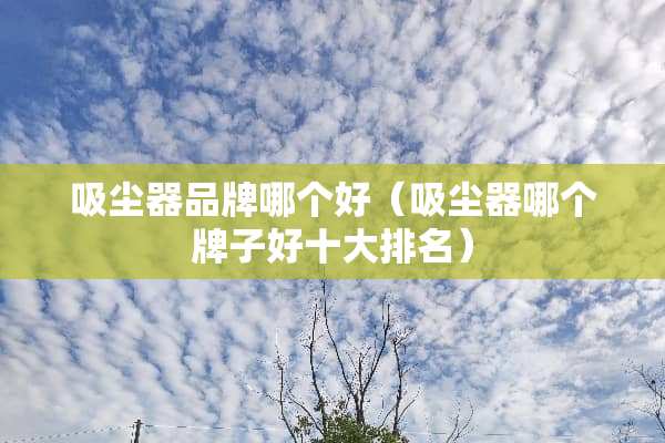 吸尘器品牌哪个好（吸尘器哪个牌子好十大排名）