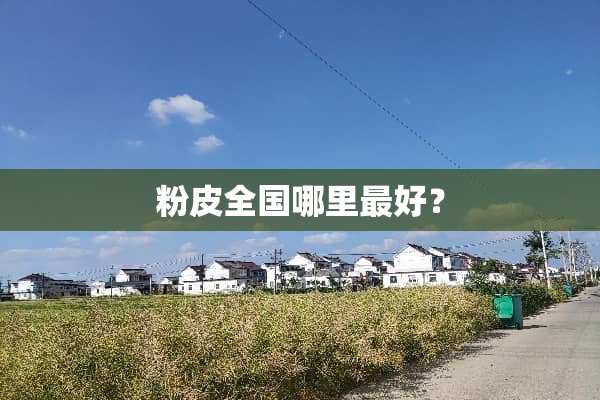 粉皮全国哪里最好？