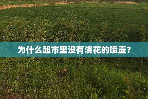 为什么超市里没有浇花的喷壶？