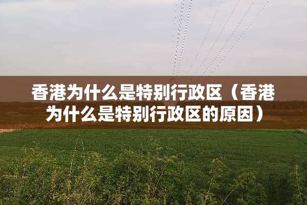 香港为什么是特别行政区（香港为什么是特别行政区的原因）