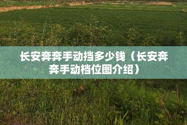 长安奔奔手动挡多少钱（长安奔奔手动档位图介绍）