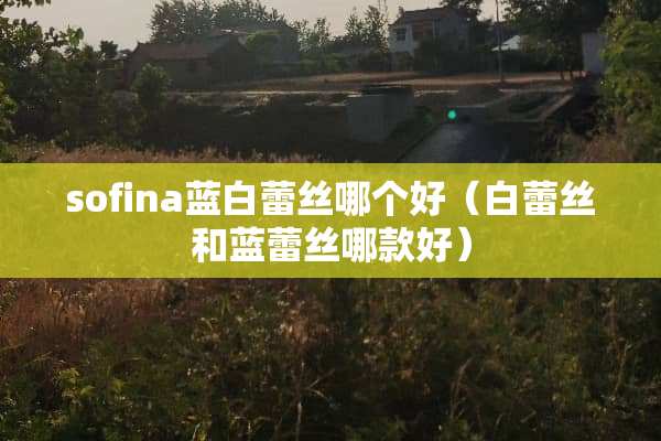 sofina蓝白**哪个好（白**和蓝**哪款好）