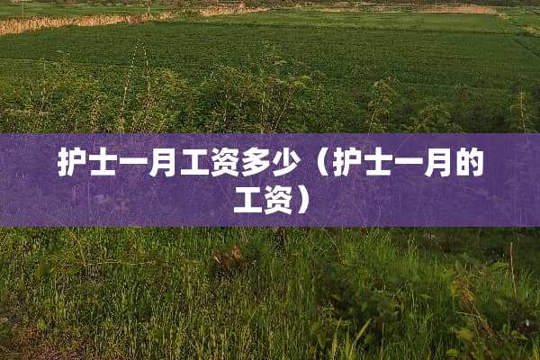 护士一月工资多少（护士一月的工资）