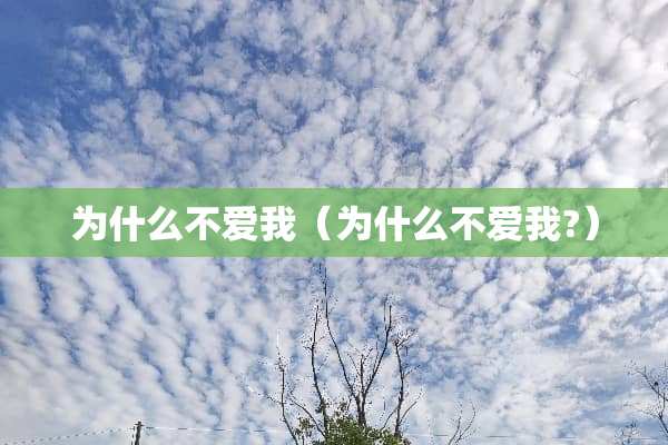为什么不爱我（为什么不爱我?）