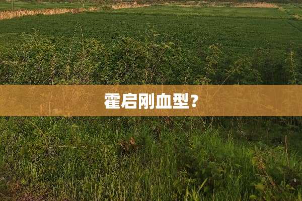 霍启刚血型？