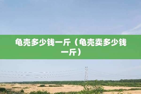 龟壳多少钱一斤（龟壳卖多少钱一斤）