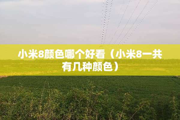 小米8颜色哪个好看（小米8一共有几种颜色）
