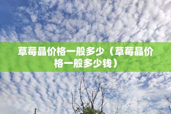 草莓晶价格一般多少（草莓晶价格一般多少钱）
