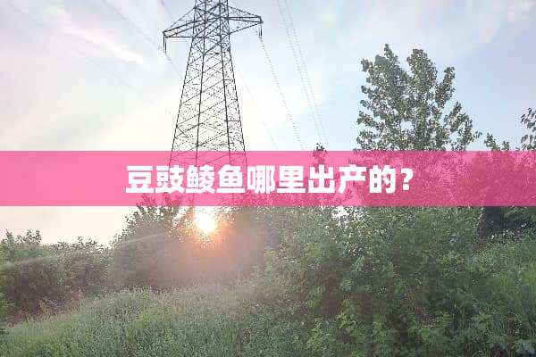 豆豉鲮鱼哪里出产的？