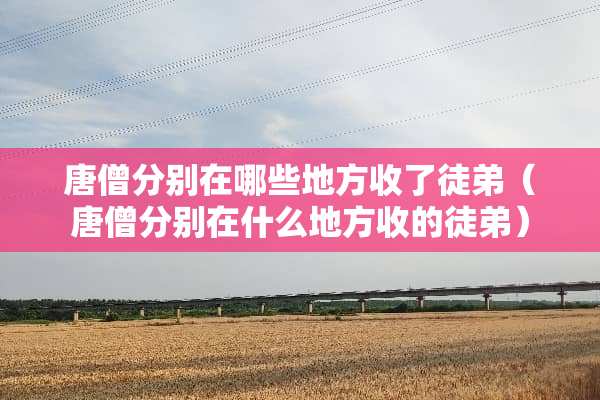唐僧分别在哪些地方收了徒弟（唐僧分别在什么地方收的徒弟）