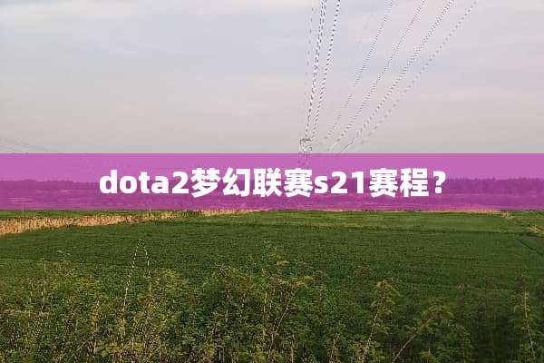 dota2梦幻联赛s21赛程？