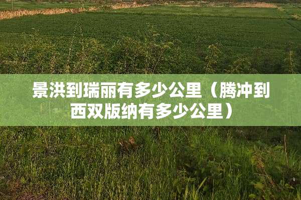 景洪到瑞丽有多少公里（腾冲到西双版纳有多少公里）