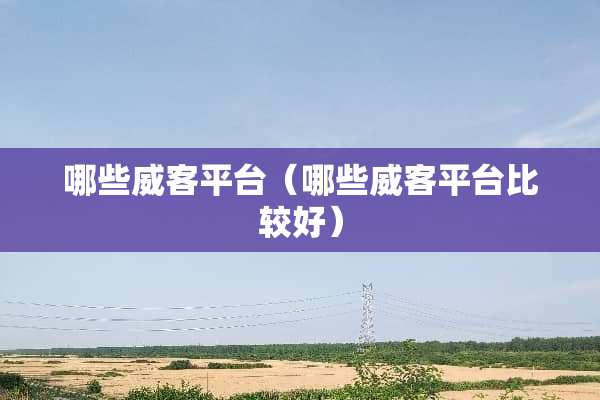 哪些威客平台（哪些威客平台比较好）