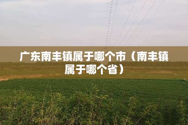 广东南丰镇属于哪个市（南丰镇属于哪个省）