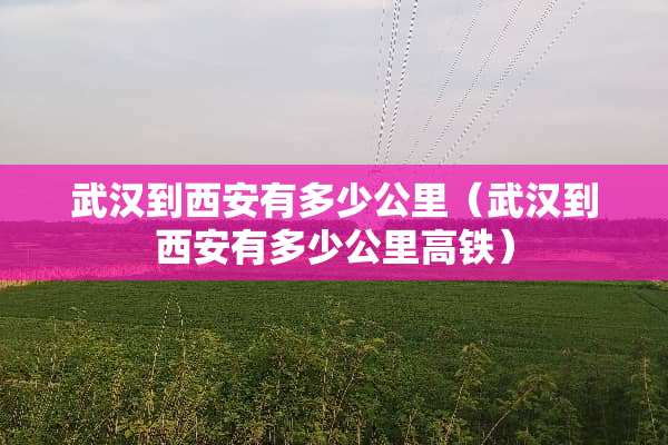 武汉到西安有多少公里（武汉到西安有多少公里高铁）