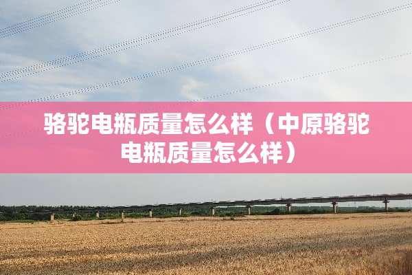 骆驼电瓶质量怎么样（中原骆驼电瓶质量怎么样）