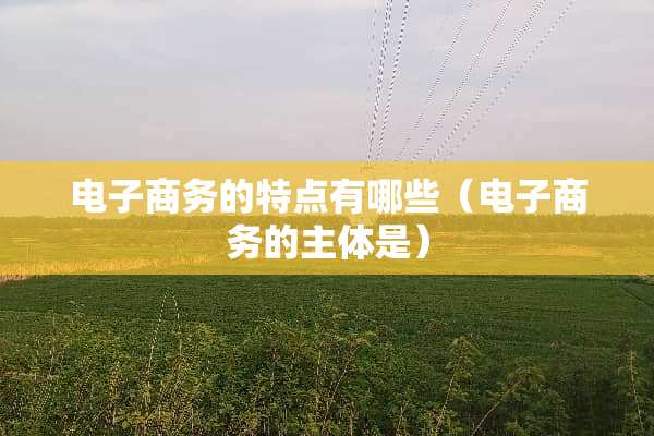 电子商务的特点有哪些（电子商务的主体是）