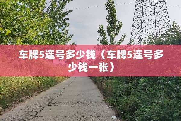 车牌5连号多少钱（车牌5连号多少钱一张）