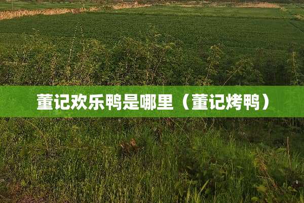 董记欢乐鸭是哪里（董记烤鸭）