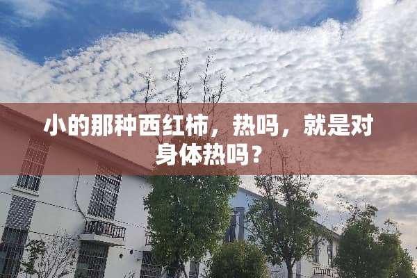 小的那种西红柿，热吗，就是对身体热吗？