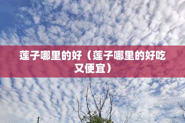 莲子哪里的好（莲子哪里的好吃又便宜）