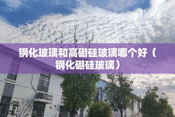 钢化玻璃和高硼硅玻璃哪个好（钢化硼硅玻璃）