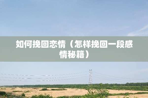 如何挽回恋情（怎样挽回一段感情秘籍）