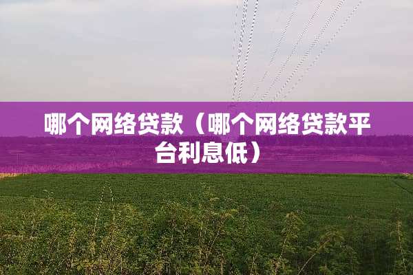哪个网络贷款（哪个网络贷款平台利息低）