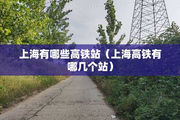 上海有哪些高铁站（上海高铁有哪几个站）