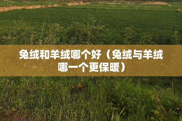 兔绒和羊绒哪个好（兔绒与羊绒哪一个更保暖）