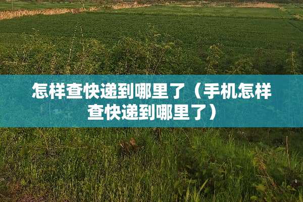 怎样查快递到哪里了（手机怎样查快递到哪里了）