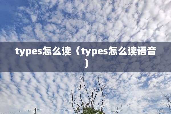 types怎么读（types怎么读语音）
