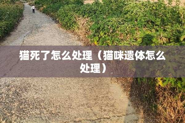 猫死了怎么处理（猫咪遗体怎么处理）