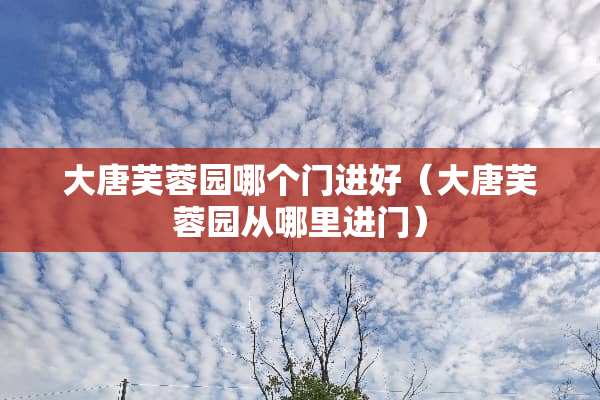 大唐芙蓉园哪个门进好（大唐芙蓉园从哪里进门）