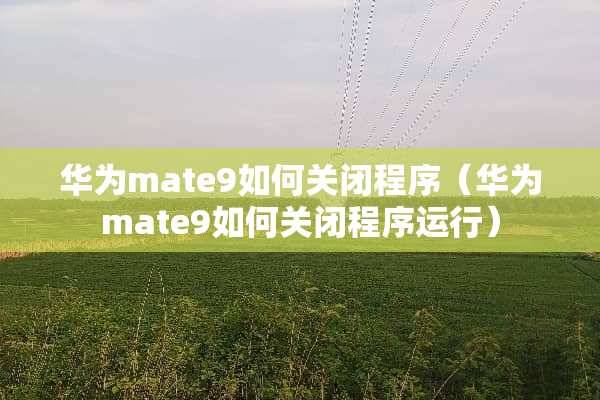 华为mate9如何关闭程序（华为mate9如何关闭程序运行）