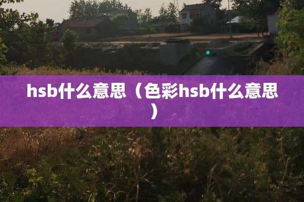 hsb什么意思（色彩hsb什么意思）
