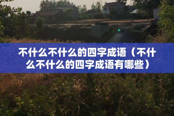 不什么不什么的四字成语（不什么不什么的四字成语有哪些）