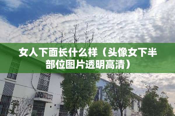 女人下面长什么样（头像女下半部位图片透明高清）