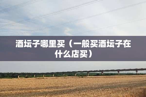 酒坛子哪里买（一般买酒坛子在什么店买）